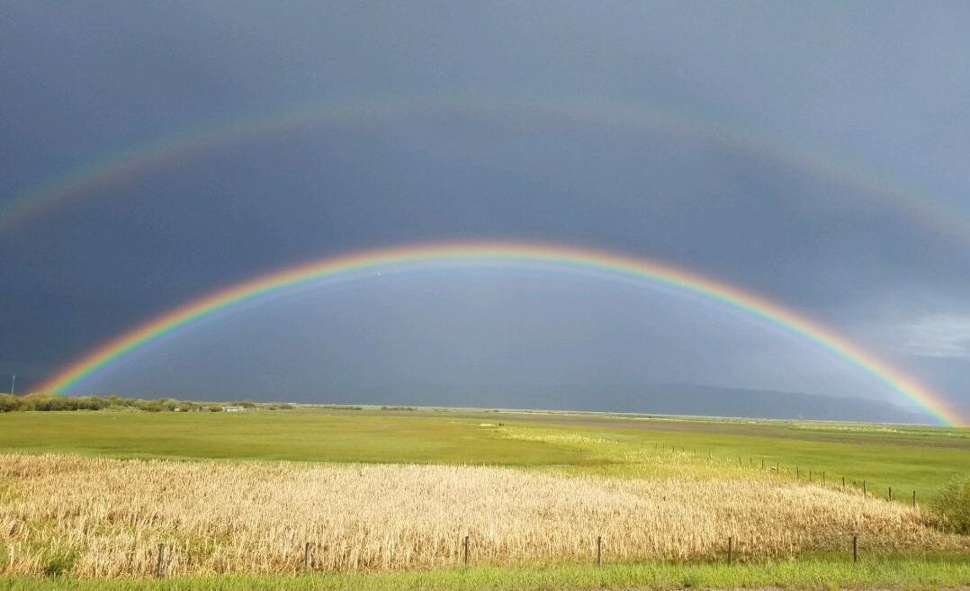 Rick Thomas - Near Bloomington (June 2019)